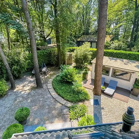 In With Wifi * Meijel